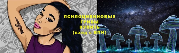 мдпв Пролетарск