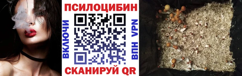 mega как зайти Байкальск Галлюциногенные грибы Psilocybine cubensis